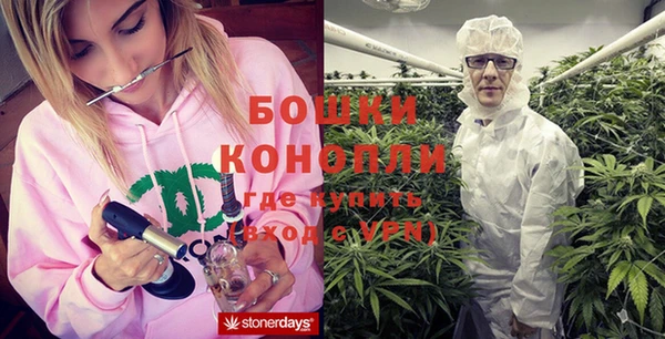 spice Белокуриха