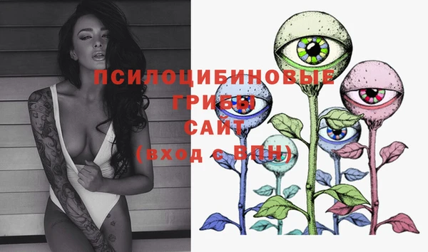 PSILOCYBIN Беломорск