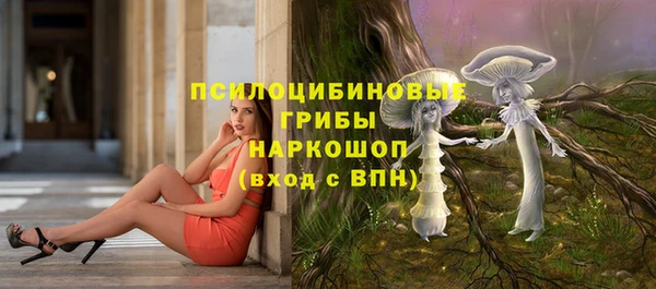 ALPHA PVP Богородицк