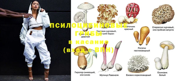 PSILOCYBIN Беломорск