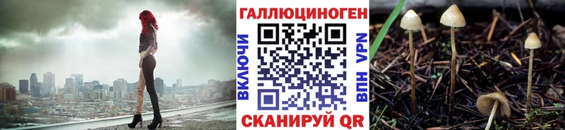 где купить наркоту  Няндома  нарко площадка клад  Галлюциногенные грибы мухоморы 